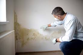 Best Comprehensive Air Testing for Mold Contaminants  in Northwest Harborcreek, PA